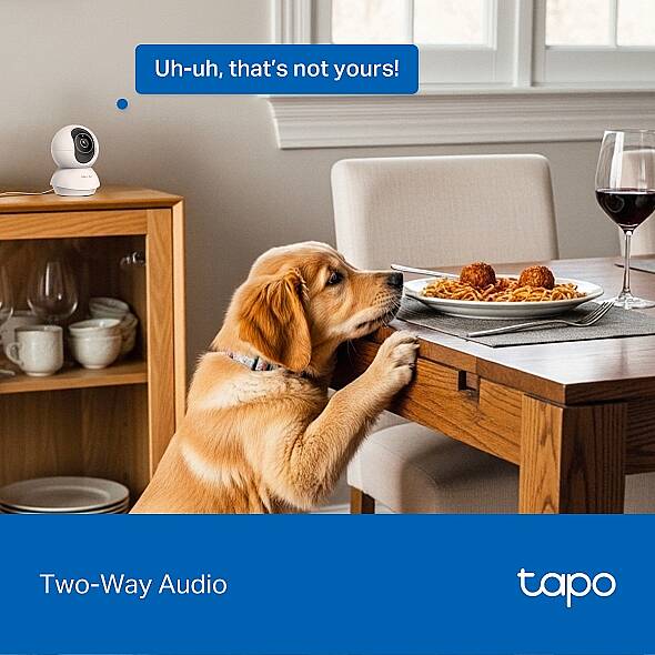 Pan/Tilt AI Ev Güvenlik Wi-Fi Kamera | Tapo C250 - 7