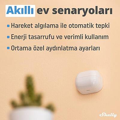Shelly BLU Motion + BLU Gateway Akıllı Hareket Sensör Güvenlik Seti - 2