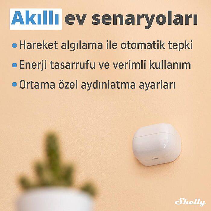 Shelly BLU Motion + BLU Gateway Akıllı Hareket Sensör Güvenlik Seti - 2