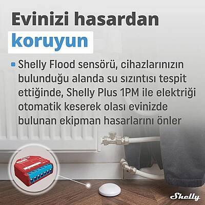 Shelly Flood Su Baskını ve Sıcaklık Sensörü - 5