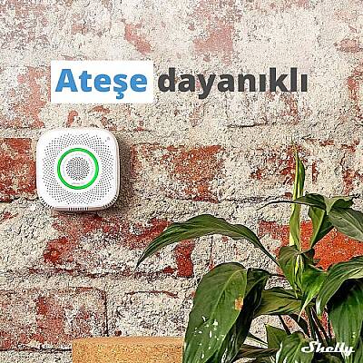 Shelly GAS Akıllı CNG Gaz Dedektörü - 2