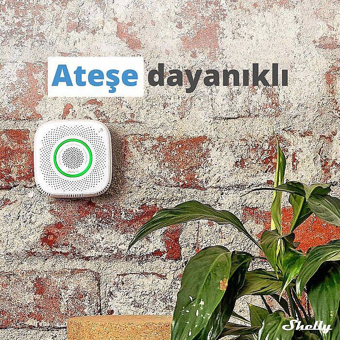 Shelly GAS Akıllı CNG Gaz Dedektörü - 2