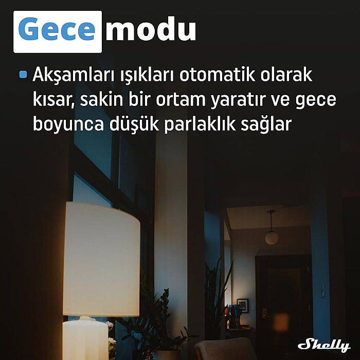 Shelly Plus RGBW PM Akıllı LED Renk ve Parlaklık Kontrol Rölesi - 2