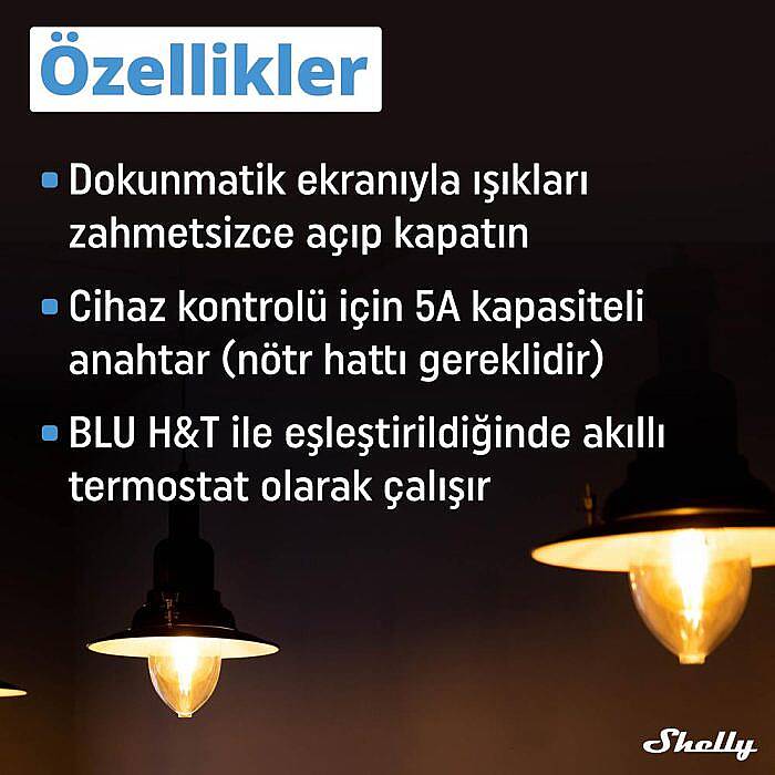 Shelly Wall Display & BLU H&T Beyaz Merkezi Kontrol Panel Seti - 2