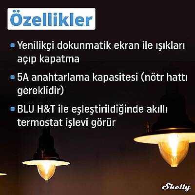Shelly Wall Display & BLU H&T Beyaz Merkezi Kontrol Panel Seti - 5